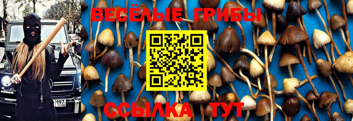 Псилоцибиновые грибы прущие грибы  Галлюциногенные грибы GOLDEN TEACHER  Вход с VPN  Большой Камень 