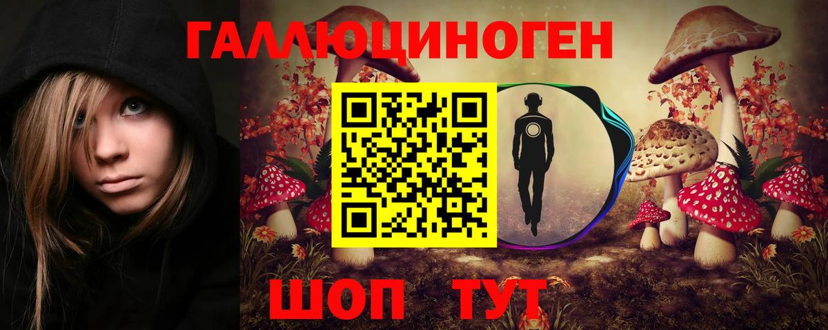 Псилоцибиновые грибы прущие грибы Большой Камень